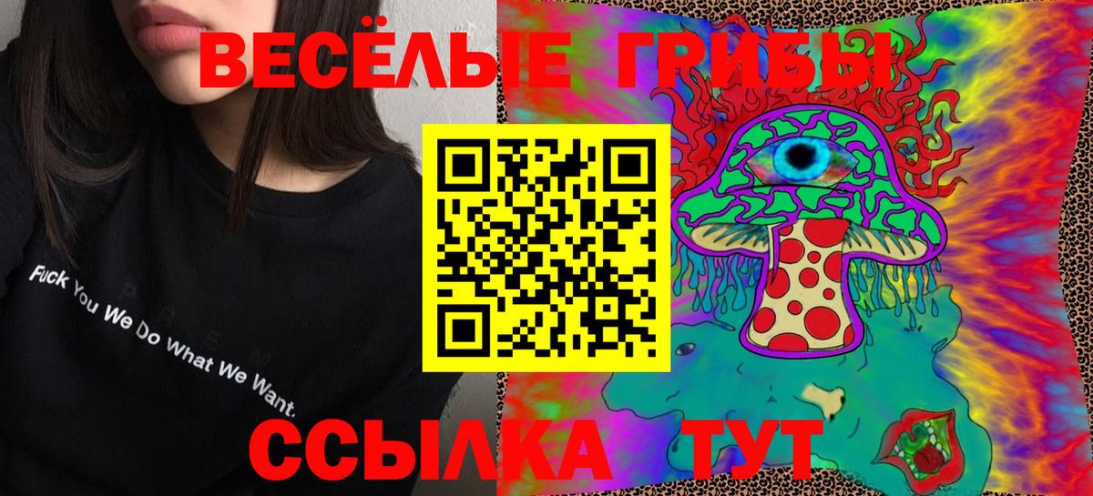 Галлюциногенные грибы мицелий  Псилоцибиновые грибы Magic Shrooms  Вход с VPN  Гудермес 